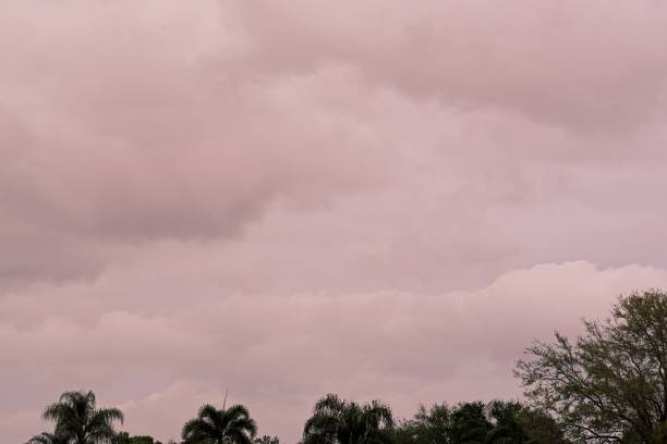 Moody stratocumulus clouds illuminated from lowering sun in central Florida. Looking east in Melbourne Florida with sun behind photographer on March 22, 2024.
