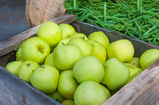 An old weathered wooden crate holds freshly picked green honey gold apples, a late summer treat with a backdrop of fresh green beans.
