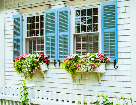 A double window is decorated with floral window boxes with blue shutters on Cape Cod.
