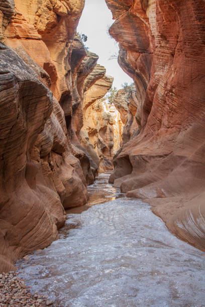 Willis Creek Slot Canyon in the Grand Staircase Escalante National Monument Utah stock photo