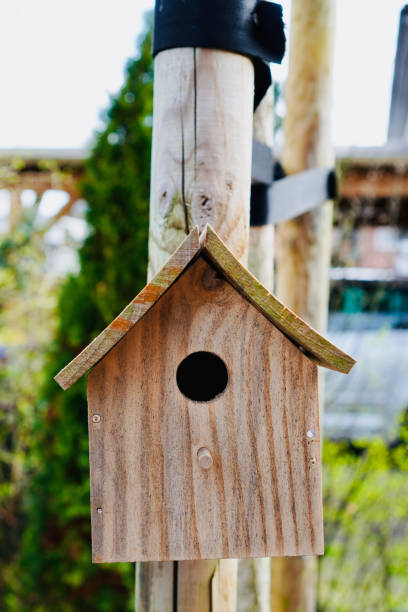 istock Wooden Birdhouse Haven 2123232283
