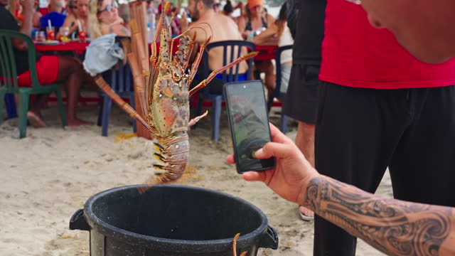 Cropped Man Photographing Caught Lobster Through Smart Phone over Bucket at Beach