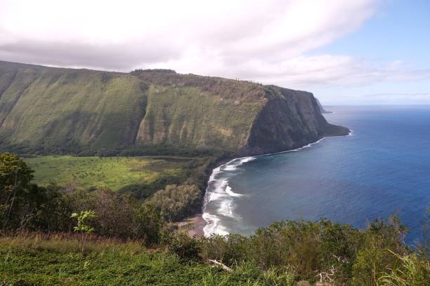 istock Waipio Valley Hawaii 2123326940