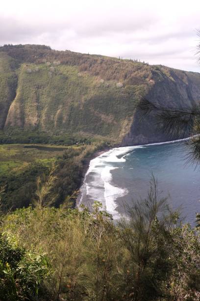 istock Waipio Valley Hawaii 2123328489