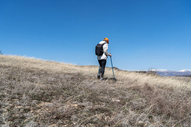 Mann und sein Lagotto Romagnolo Hund wandern im Ultental in Südtirol