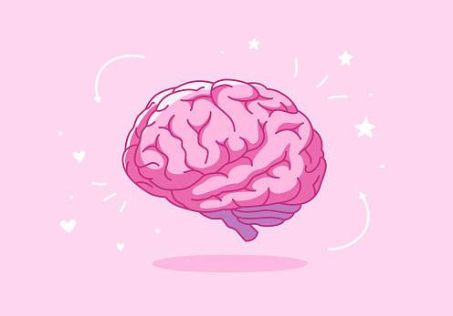 Cute pink human brain. Mind symbol. Cartoon vector illustration