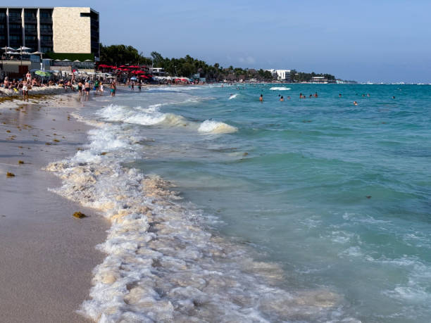 istock A Day at the Beach in Playa Del Carmen, Mexico 2123365967