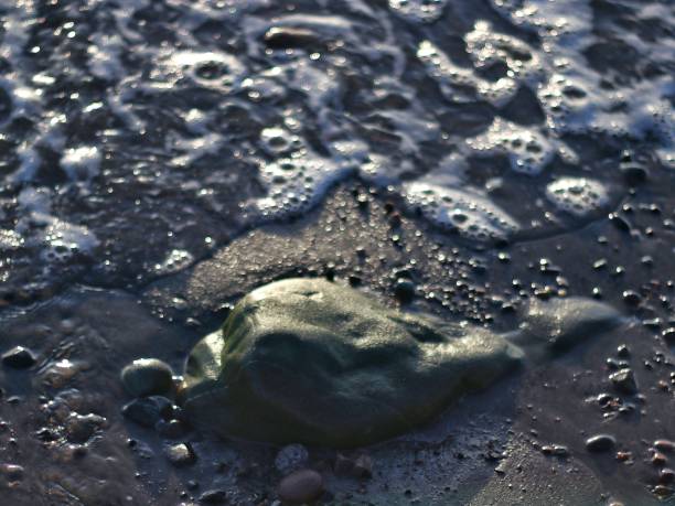 istock South Ayrshire photos while wandering the beach. 2123379341
