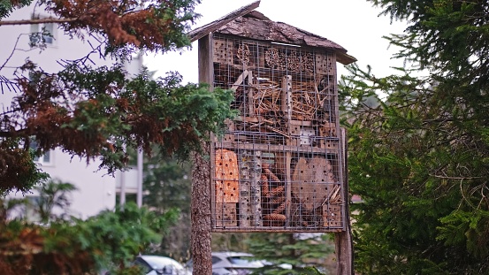 Wooden Bug Hotel Shelter for Insects for Fostering Biodiversity in Urban Areas