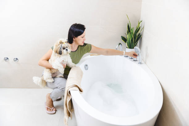 istock Woman Preparing Bath for Her Dog 2123402852