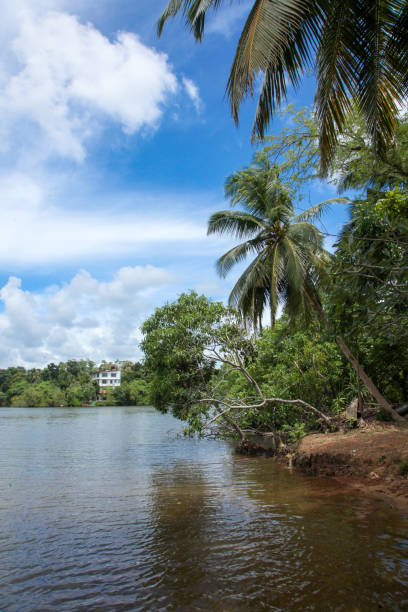 istock Water and trees view at an island with rich blue cloudy sky 2123445680