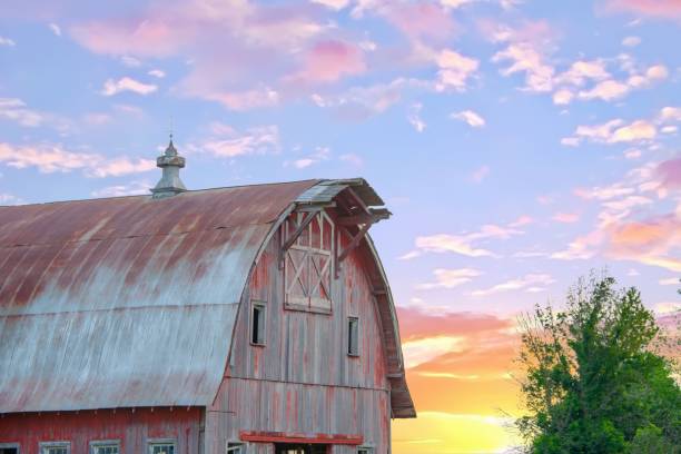 istock Old Weathered Red Barn at sunrise- Howard County, Indiana 2123460055