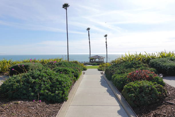 istock Coastline of Pismo Beach 2123464673