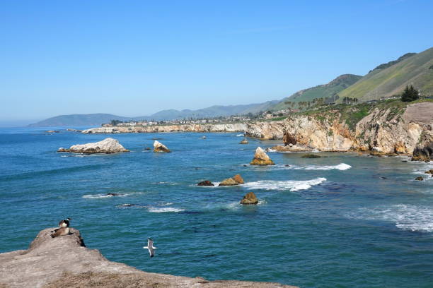 Photos taken along the coastal trail in Pismo Beach, California