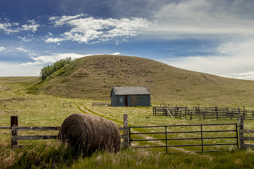 Rustic buildings dot the landscape Kneehill County Alberta Canada