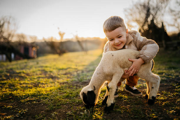 istock Little boy with a lamb 2123519338