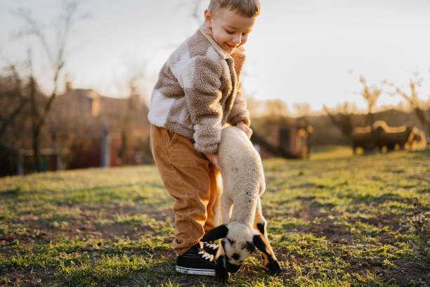istock Cute little boy petting a baby goat 2123520876