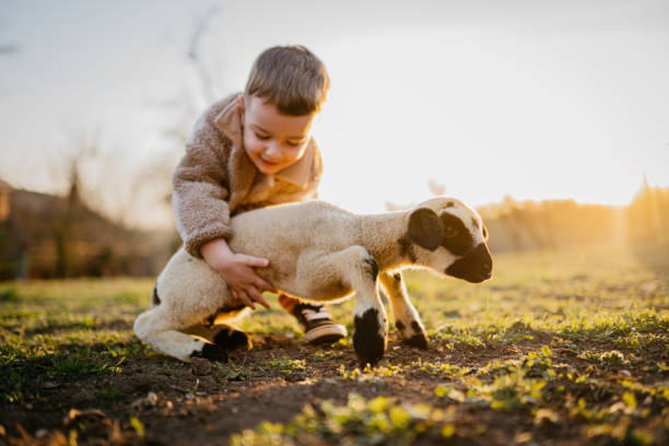 istock Little boy with a lamb 2123520884