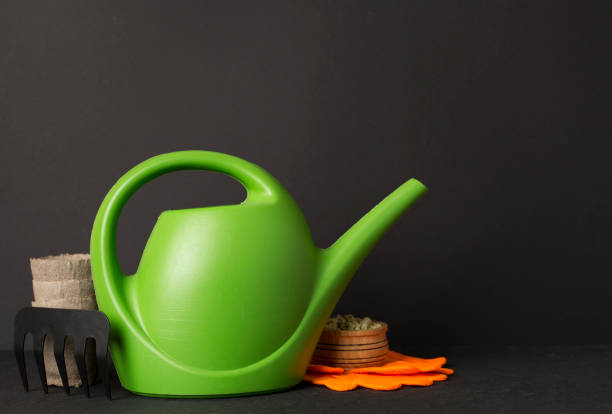 Watering can and gardening tools on concrete background