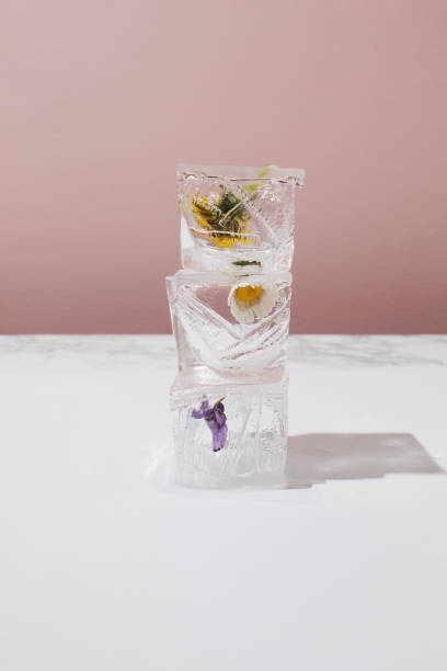 istock Three ice cubes layout in height with spring flowers on contrast background 2123569918