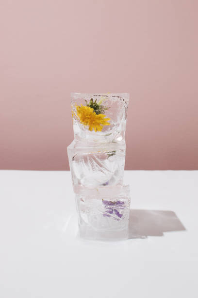 istock Three ice cubes layout in height with spring flowers on contrast background 2123569919