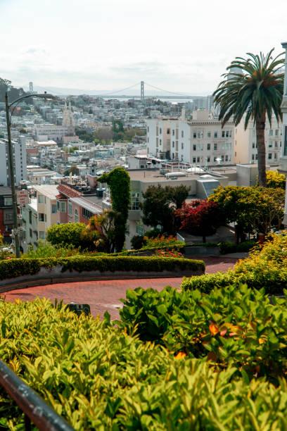 istock Lombard Street  - overlooking San Francisco 2123575767