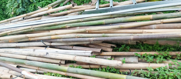 istock Piles of bamboo sticks 2123601712