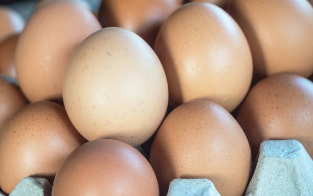 istock Close up of fresh chicken egg with selective focus 2123604561