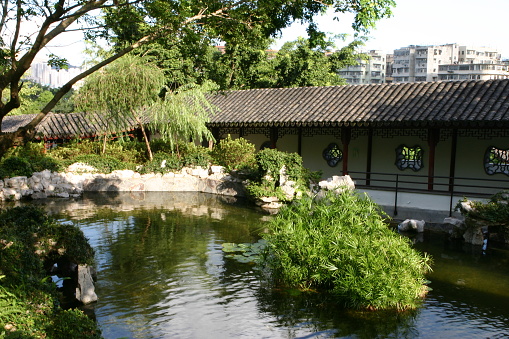 a Chinese Garden, Kowloon Walled City Park, HK.