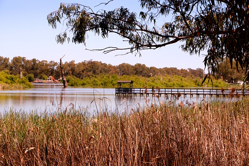 A view of the beautiful River Murray at Morgan in South Australia
