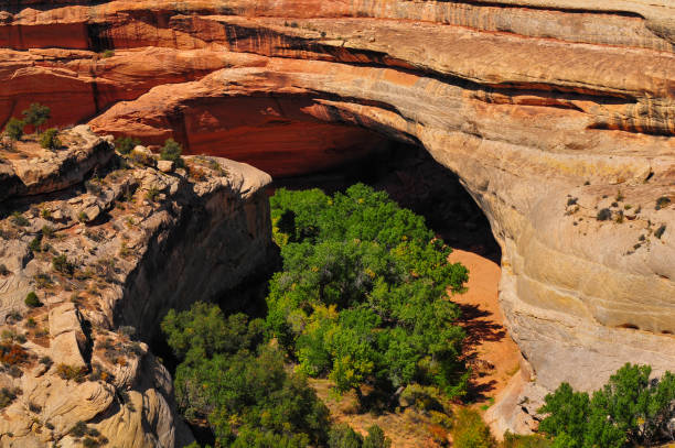 istock High angle view of Kachina Bridge 2123733848