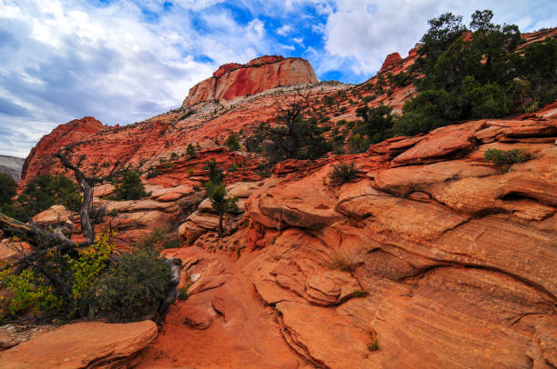 Cloudy afternoon on the beautiful sandstone landscape of the Canyon Overlook trail through Pine Creek Canyon, Zion National Park, Utah, Southwest USA.