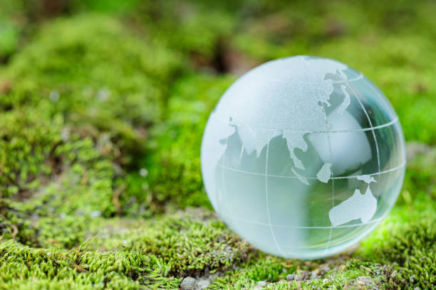 istock Transparent Glass Globe Resting on Green Grass for Earth Day Celebration 2123936455