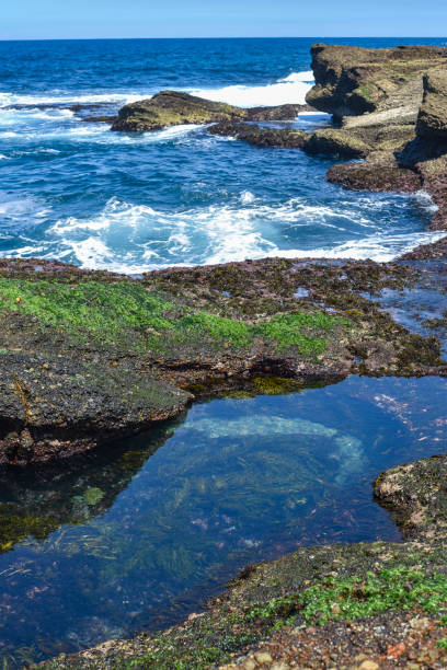 istock Ghosties Beach on the Central Coast of NSW 2124000134