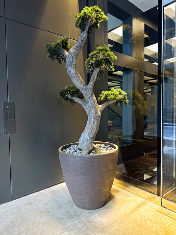 Entrance of a modern chic building with decorative tree