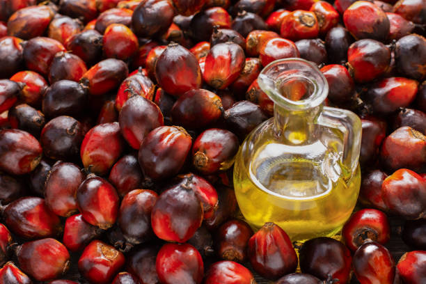Palm oil and oil palm
