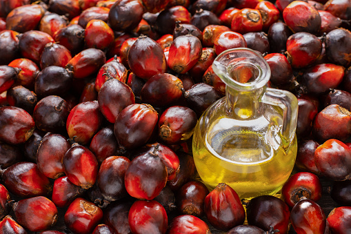Oil palm fruit with palm oil in glass bottle.