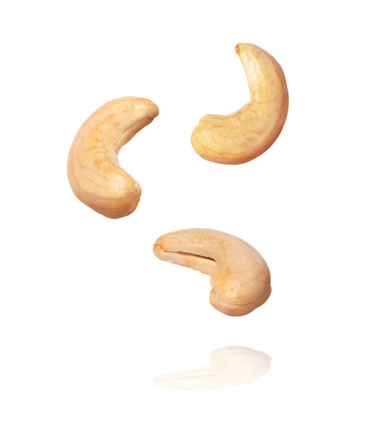 Cashew nut flying