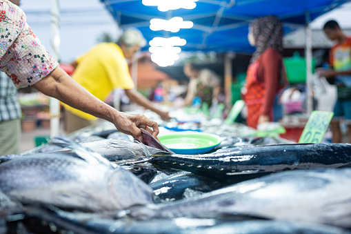 People hand choose and buy tuna seafood fish in traditional fishery market