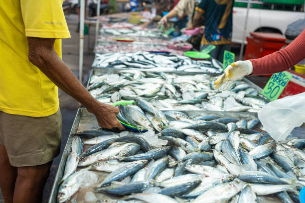 People hand choose and buy tuna seafood fish in traditional fishery market