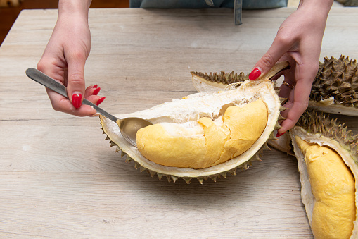 A woman's hand taking out the inside of a durian
