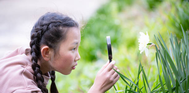 istock Girl looking at daffodils with a magnifying glass 2124165840