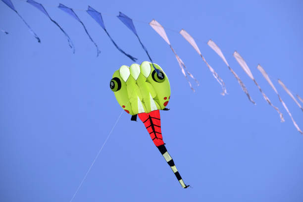 Kites at the beach. Summer time. Travel and vacation scene.