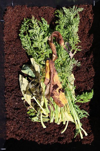 Organic matter for composting. Food scraps on a worm bed background.
