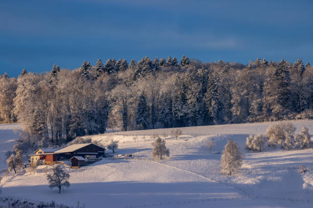 small swiss village in a wintry snow landscape