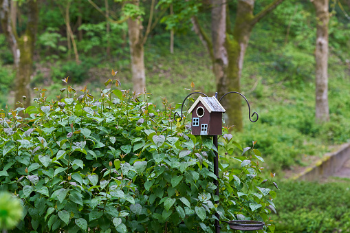 Decorative birdhouse on a green tree.