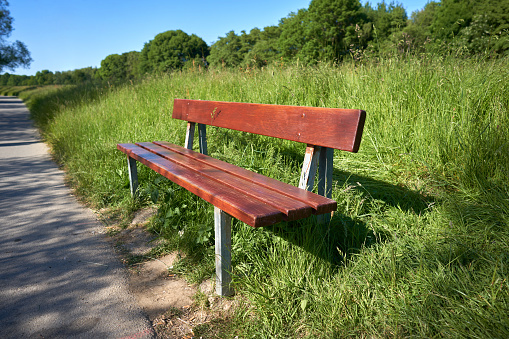 Bench on the path in a park