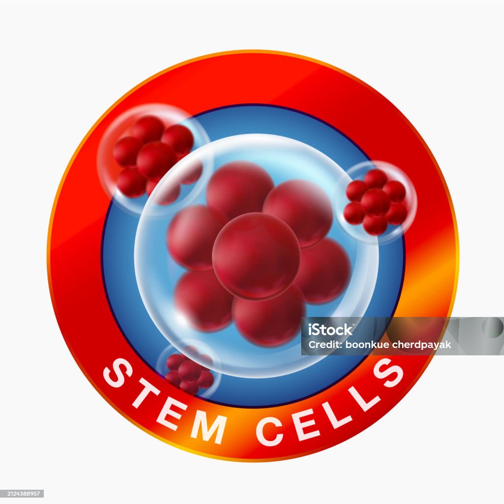 Cell Stmbol Stem Cell Symbol On Sticker Label Stock Illustration - Download Image ...