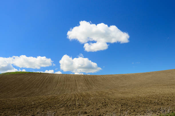 nature scene - halaman kertas foto potret stok, foto, & gambar bebas royalti