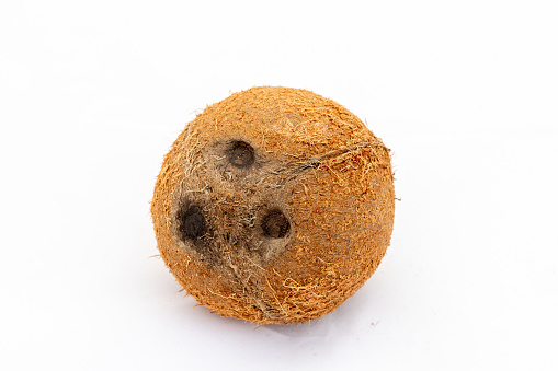 Whole coconut fruit with three holes isolated on white background